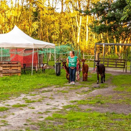 Hotel Glamping Z Alpakami à Jankowice  Extérieur photo